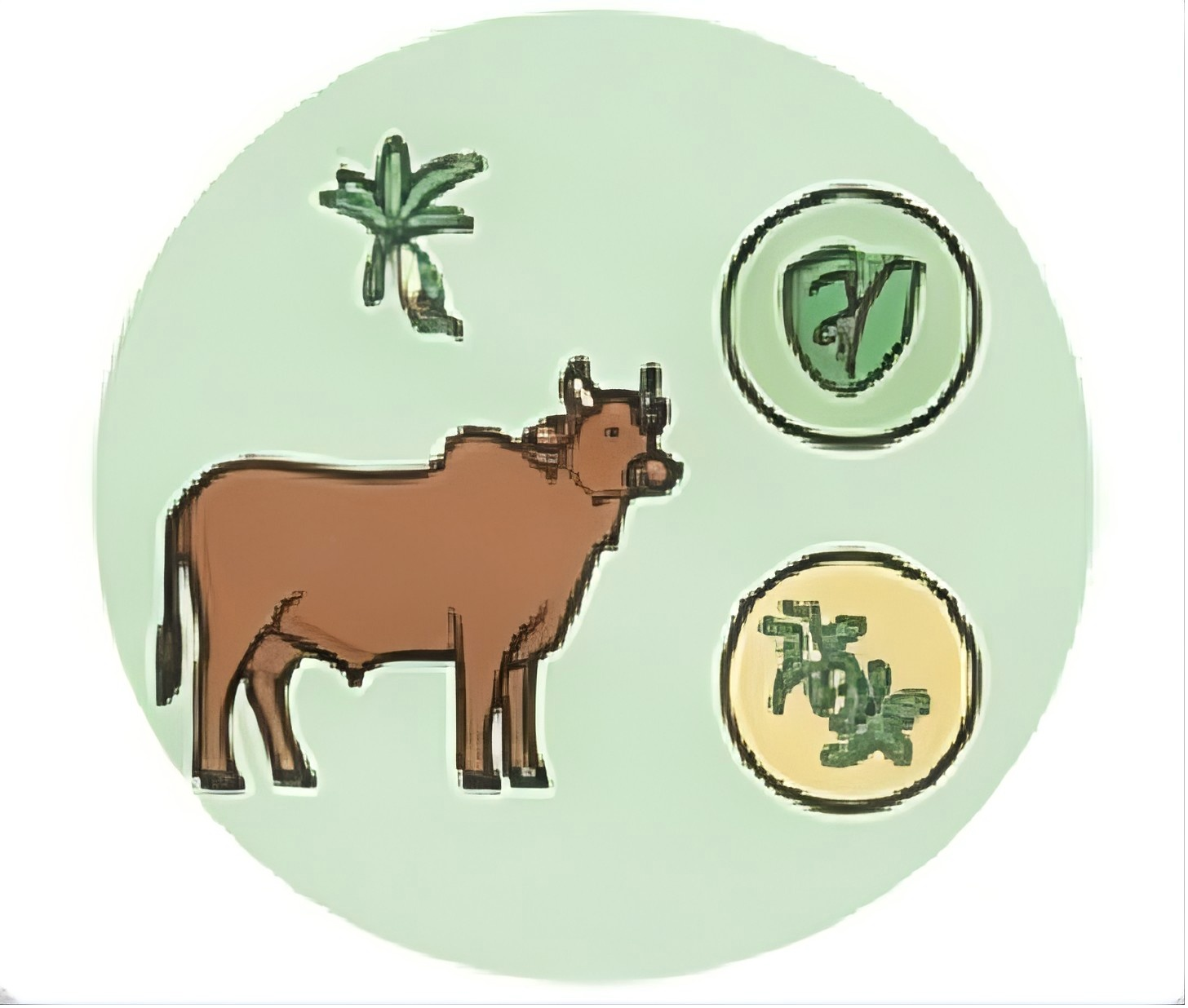 Bos_taurus