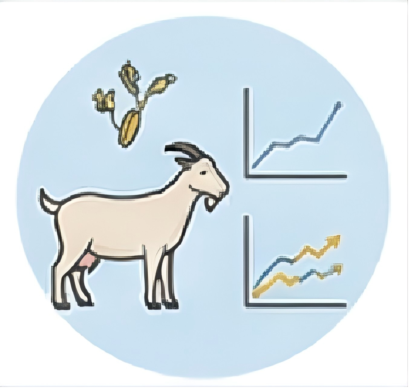 Bos_taurus